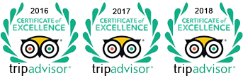 tripadvisor certificate of excellence