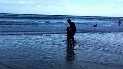 Surfers Paradise, Gold Coast, Transfers